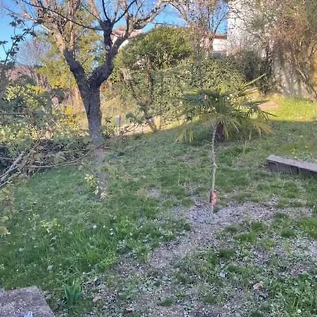 Nel Dell' Appennino Tosco-emiliano Sibano