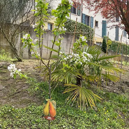 Lägenhet Nel Dell' Appennino Tosco-emiliano