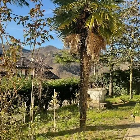 Nel Dell' Appennino Tosco-emiliano *